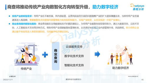 透视用户需求，深挖服务潜力 2022中国商业查询行业洞察